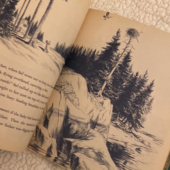 Make Way for Ducklings & One Morning in Maine - Robert McCloskey - Picture 6 of 9